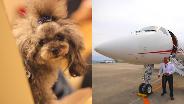 Pet Pet聯萌：乘坐私人飛機　與寵物零分離